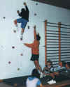 kletterwand.jpg (55982 Byte)